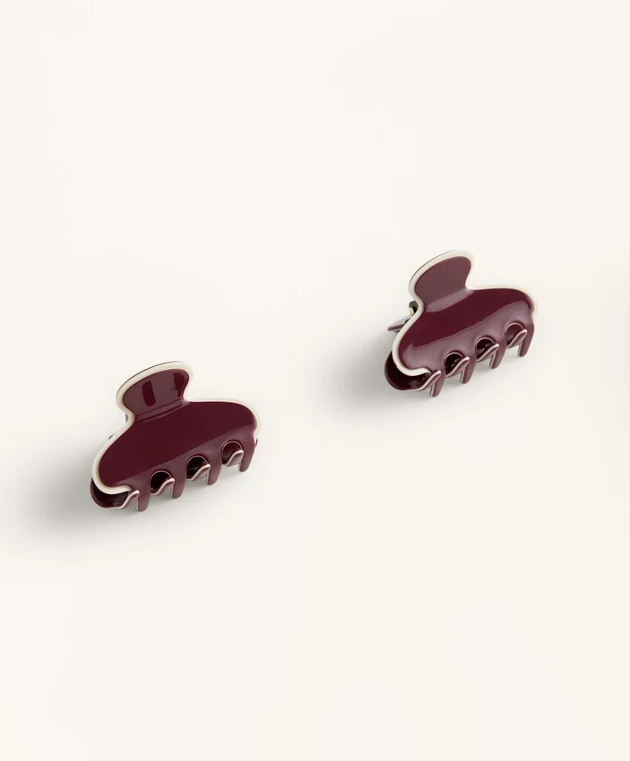 2 barrettes à liseré pour les accessoires cheveux 2 barrettes à liseré pour les accessoires cheveux