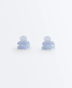 2 mini-barrettes pour accessoires cheveux